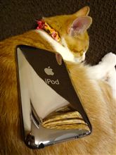 今更のiPod touch 3G