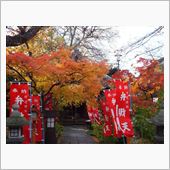 辨財天長建寺の紅葉