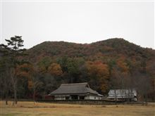 久しぶりのマウンテンバイク
