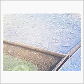 今日は冷え込んだ・・・