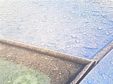 今日は冷え込んだ・・・