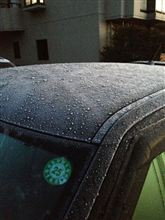 車が凍ってるぅ・・・・・・・・