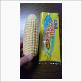 季節外れの とうきび