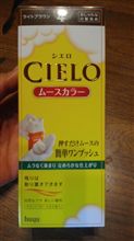 水曜日お早うございます