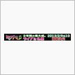 2013年2月9・10日ミクパ　札幌公演決定！