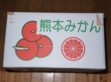 叔母から熊本みかんが。