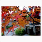 京都で紅葉狩り（その３） 