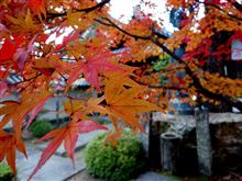 京都で紅葉狩り（その３） 