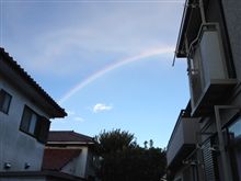 オハヨーです♪