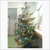 クリスマスツリーかぁ・・・・