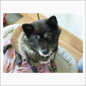 もう勘弁してください～・・・ ...