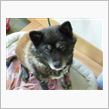 もう勘弁してください～・・・・・
