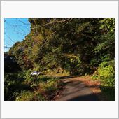 尉ヶ峰林道　