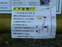 車ネタは一切なしです…