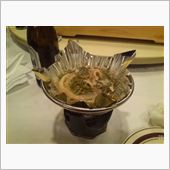 秋田でも
