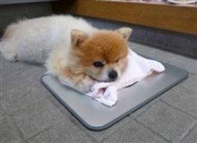 (--￣ω￣--) 