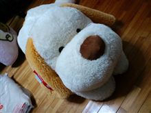 ♪おはよう。