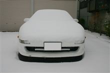 まっしろだぁ