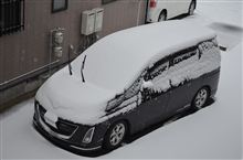 ル～フホワイト！！！