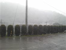 牧場付近は雪模様
