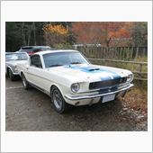 Mustang