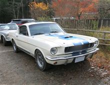 Mustang
