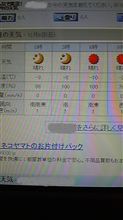 打診アリ