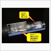 またしても・・・ウサギがウイ ...