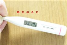 オークション　トラブル　事例　 補欠落札者の繰り上げ