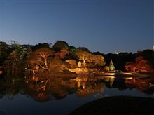 一眼カメラで紅葉撮影の練習 一眼カメラで紅葉撮影の練習