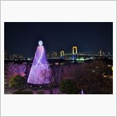 お台場&amp;都内イルミネーション ...