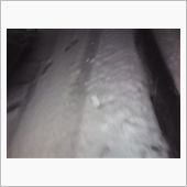 今日は絶好の…