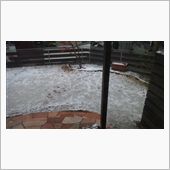 初冠雪(汗)