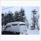 よりによって