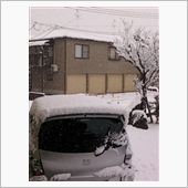 雪景色