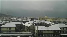 大阪で雪！？