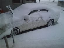 香里奈を掘り起こそう～