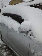 雪が積もった！