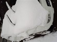 白い季節の始まりっす