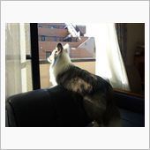 今日もいろいろと