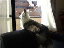 今日もいろいろと 今日もいろいろと