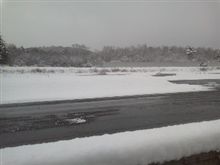 とりあえずみんなたどり着いてます とりあえずみんなたどり着いてます