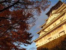 愛知県人会 in 大阪！