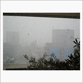 大雪警報