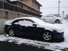 目が覚めたら…、