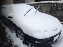 積もりました(ToT)