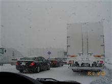 予想外の雪になった