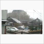 今日もまったり・・・
