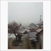 寒いですね　