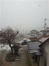 寒いですね　